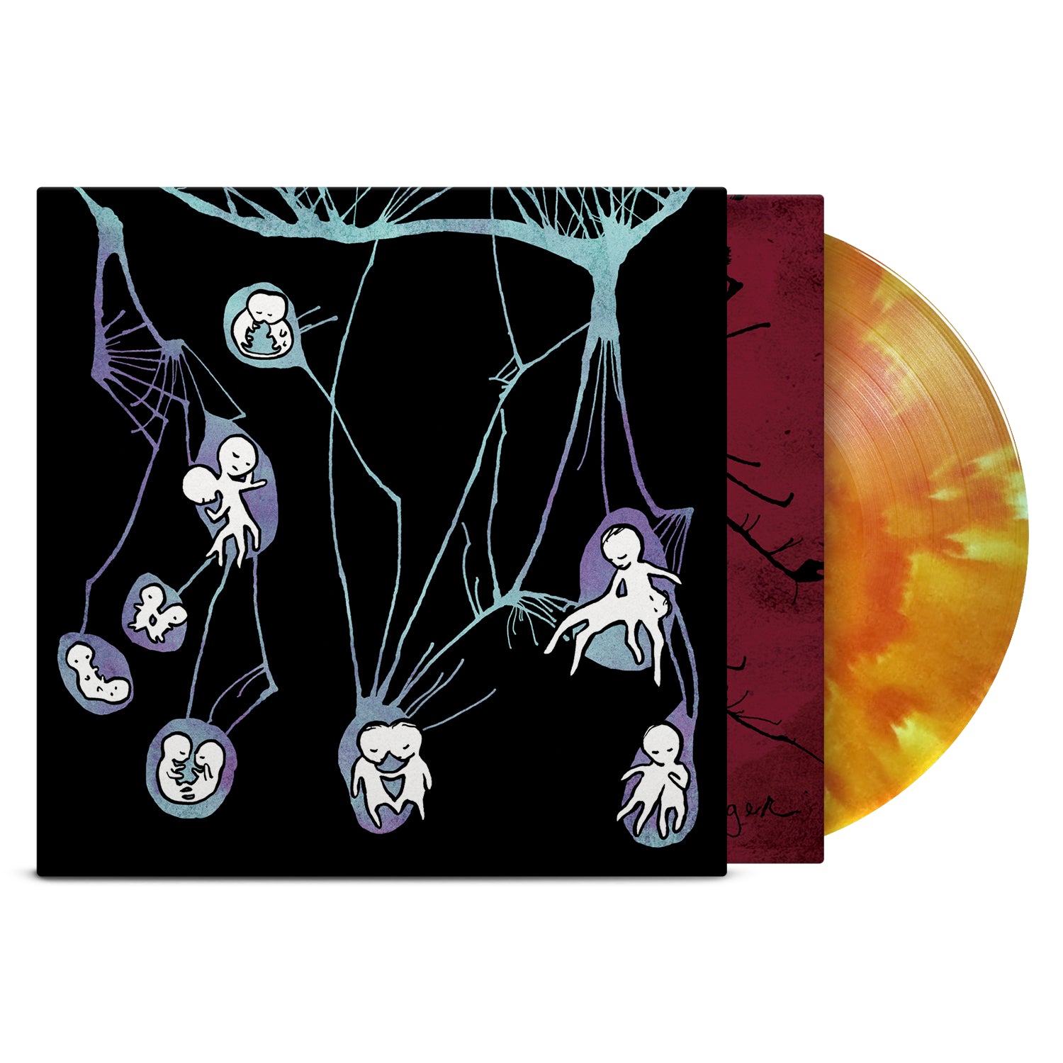 equalvision.com