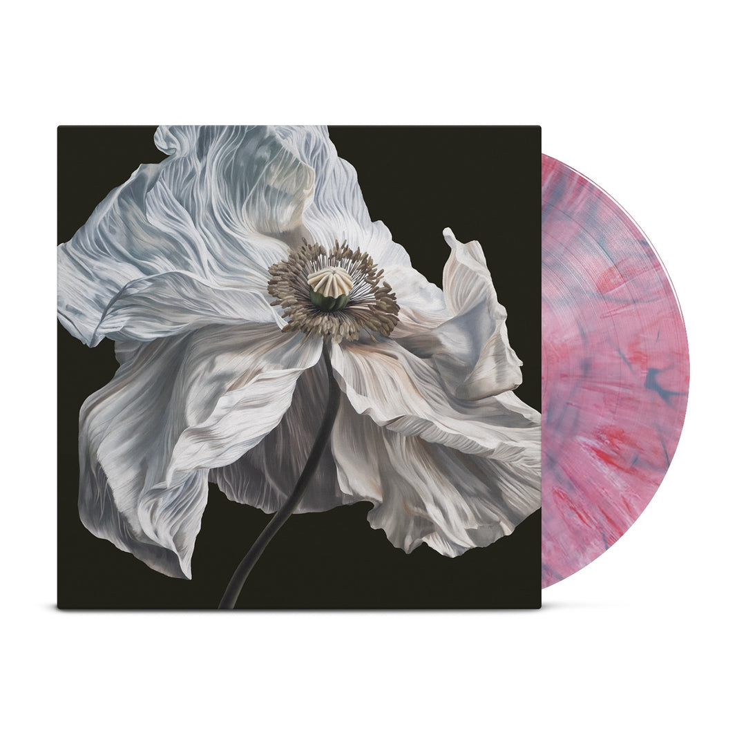 Vinyl LP – Equal Vision Records