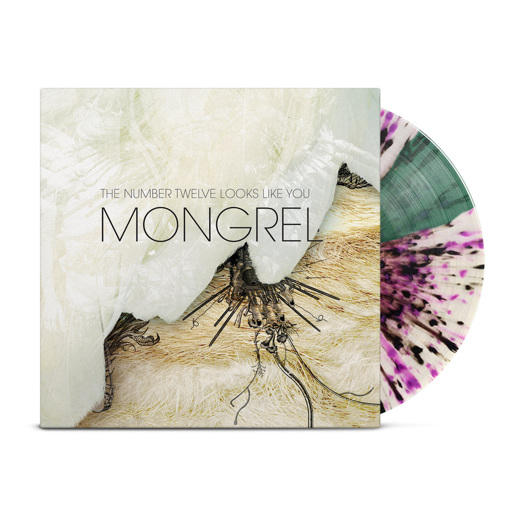 Vinyl LP – Equal Vision Records