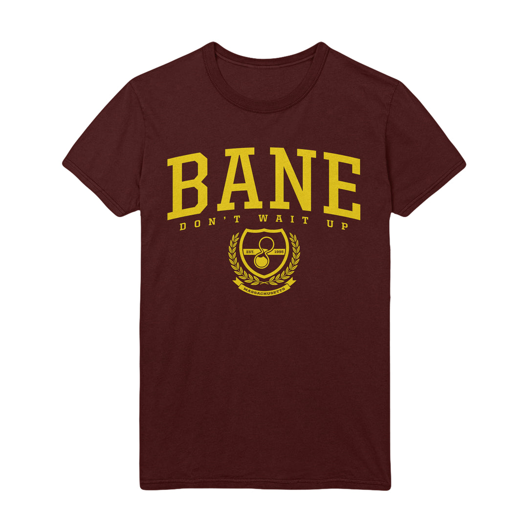 Bane band hoodie sale